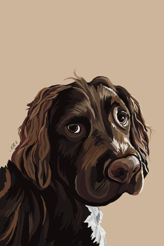 Pet portrait (Single Pet)